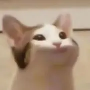 ずか