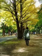 ☆にこ★の画像