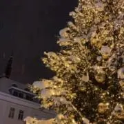 chammmの画像