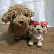 チャコ　モコ