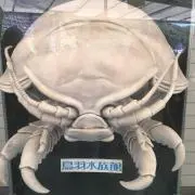 ダイオウグソクムシ　良いものを安く頑張りの画像