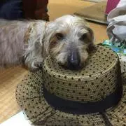 ロビーの画像