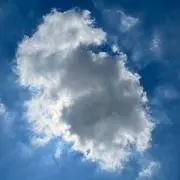 糸丸の画像
