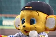 りゅうりゅうの画像