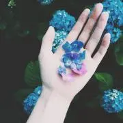 ｐｉｏ
