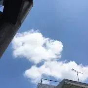 Nの画像