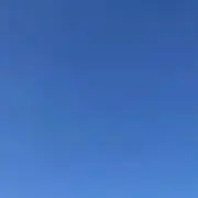 かーの画像