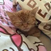 まさき
