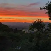 nigoの画像