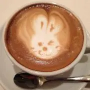 ココベア