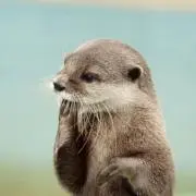 ひで