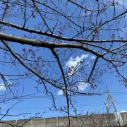 M.Tの画像