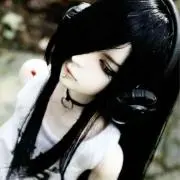 DOLLの画像