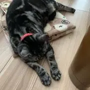 ちぃ