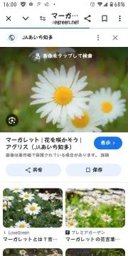 ⭐️ナナミ⭐️値下げOK⭐️の画像