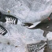 K.Mの画像
