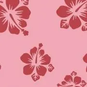 メメの画像