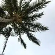 K.R.Rの画像