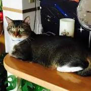 かな