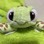 チューリップ