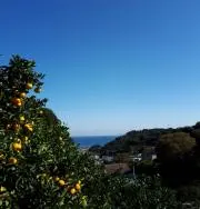 さすらいガールの画像