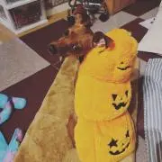 ひろ