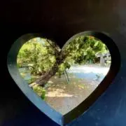ひでぼーの画像