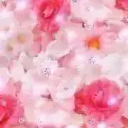 PJ╰(*´︶`*)╯♡