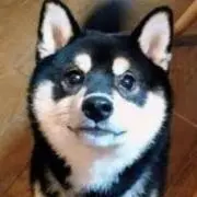 なっし