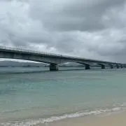 pon【24時間以内発送】の画像