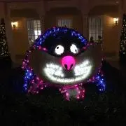 Oooooの画像