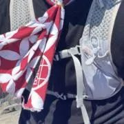 けの画像
