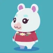 やまいもの画像