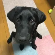 ♡´∀`♡ あぃリ