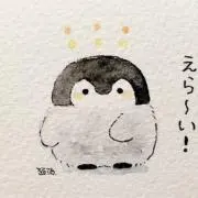 よっく