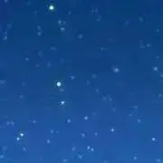 みずいの画像