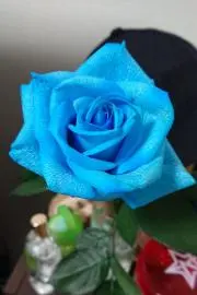 ヒロ