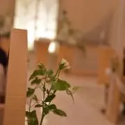 maayaの画像