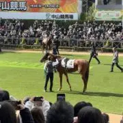 pinoの画像