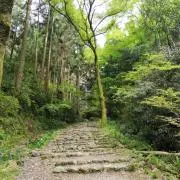 ERI