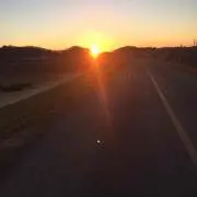 ゴッホ 即購入OK