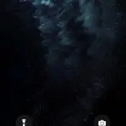 ミドリ