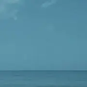 りんご