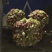 みえの画像