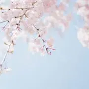 ＊sakura＊断捨離中の画像