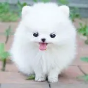 なつみの画像