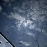とうせんぼうの画像