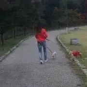 chiiiiiの画像