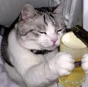 ★いつかどこかで★
