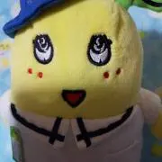 パクオの画像
